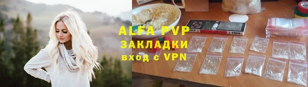 PSILOCYBIN Тайга