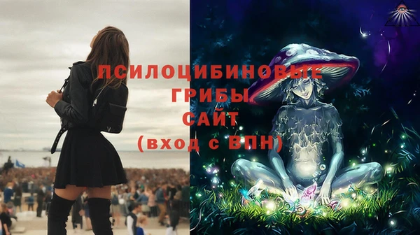 ешки Армянск