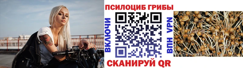 Галлюциногенные грибы Cubensis  Дыгулыбгей 